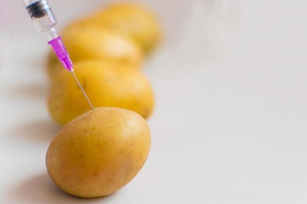 Are colored potatoes genetically modified? 