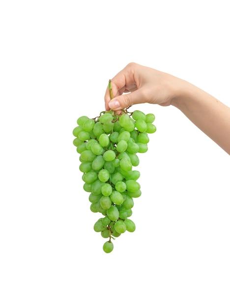 Are grape stems poisonous to humans? 