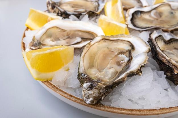 Are oysters saltwater or freshwater? 
