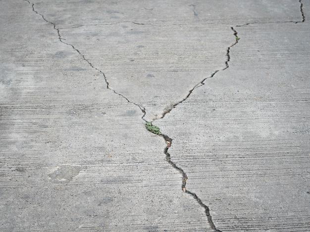 How do you get rid of bees in concrete cracks? 