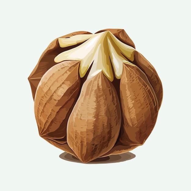 What animals eat hickory nuts? 