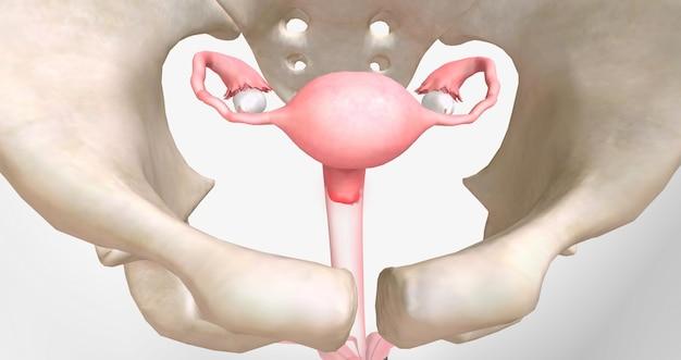 Can ovarian cyst be sexually transmitted? 