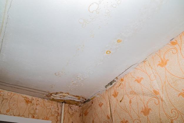 Can you drywall over asbestos ceiling tiles? 