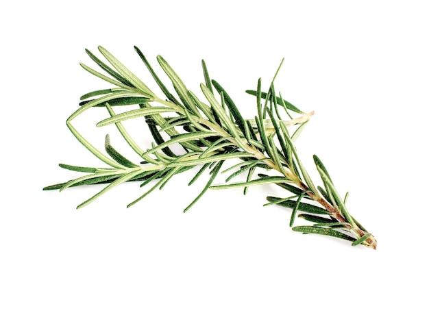 Can you eat raw rosemary leaves? 