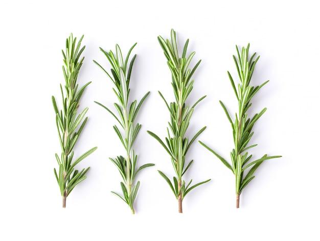 Can you eat raw rosemary leaves? 