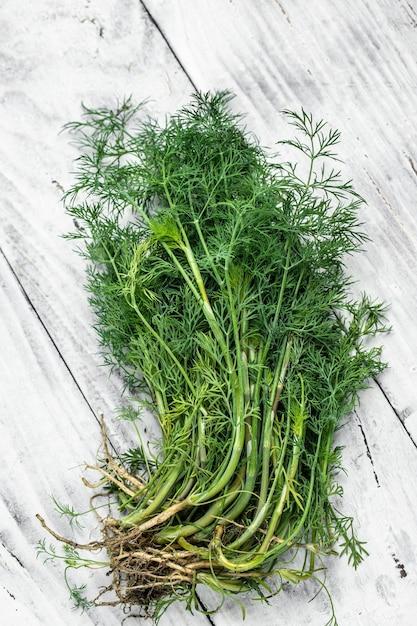 Can you freeze fresh dill for later use? 