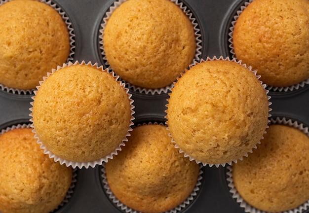 Can you use vanilla yogurt instead of plain in muffins? 
