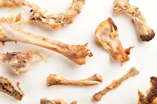 Do chicken bones decompose? 
