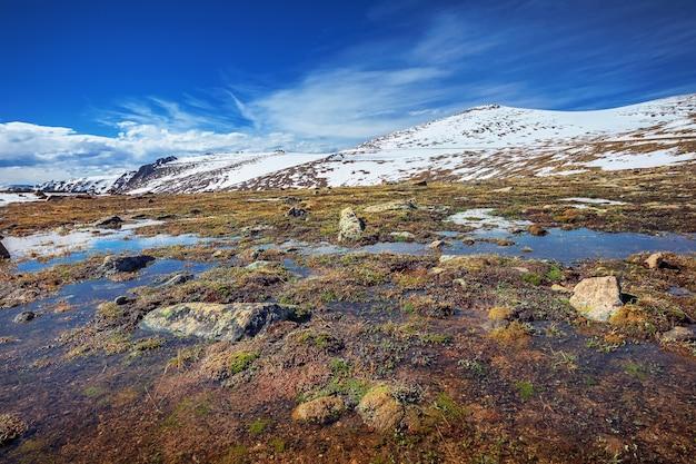 What is the main difference between the alpine tundra and arctic tundra? 