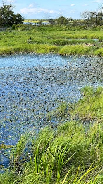 What is Freshwater Slough? 