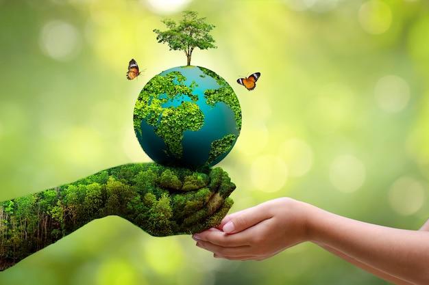 How can we save the environment short essay? 