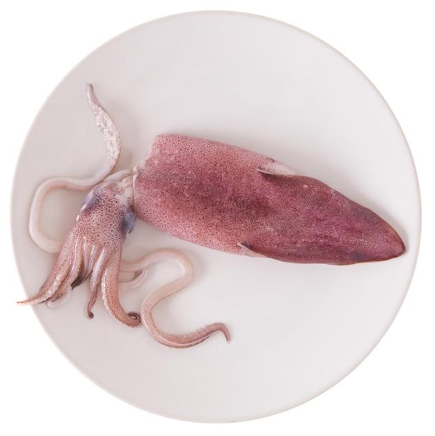 How does a squid give birth? 