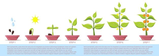 How does Gatorade affect plant growth? 