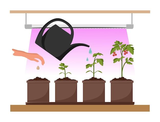 How does Gatorade affect plant growth? 