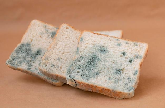 How long does it take for fungus to grow on bread? 