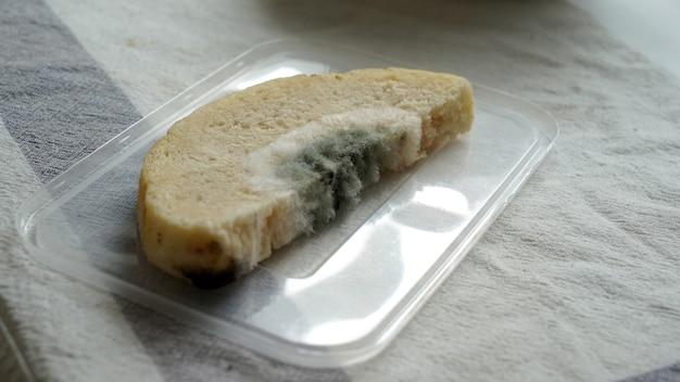 How long does it take mold to grow on bread? 