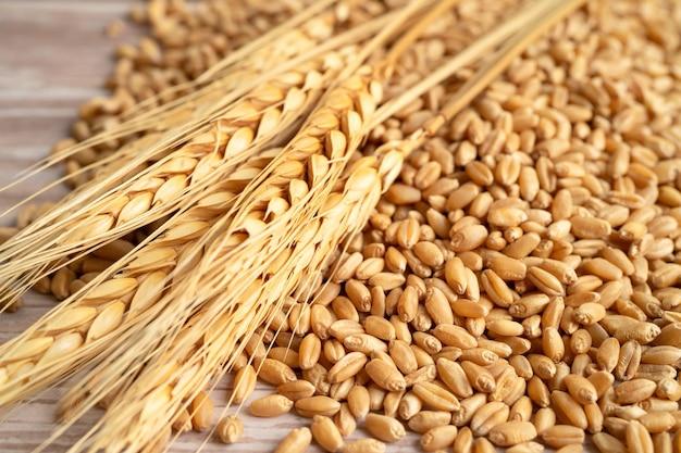 How many grains of wheat are in a kg? 