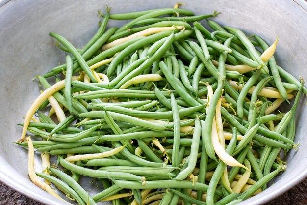 How many servings is a pound of green beans? 