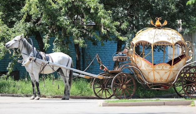 How much does a horse carriage cost to buy? 
