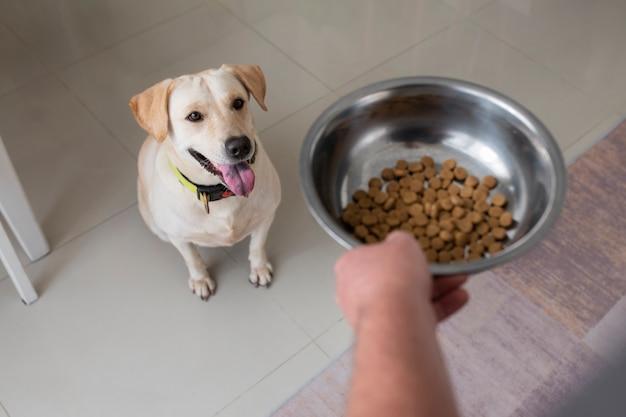 How much dog food should a 3 month old puppy eat? 