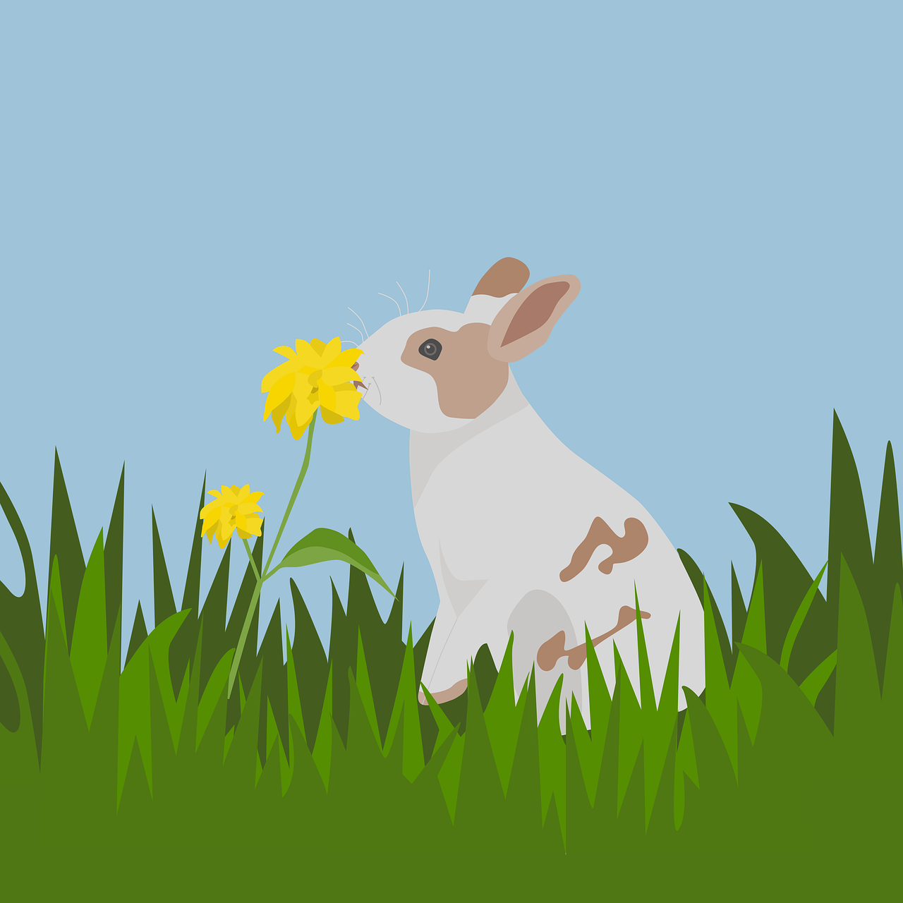 How do you get a spring bunny on Animal Jam 2020? 