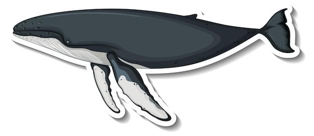 Is a humpback whale a primary consumer? 