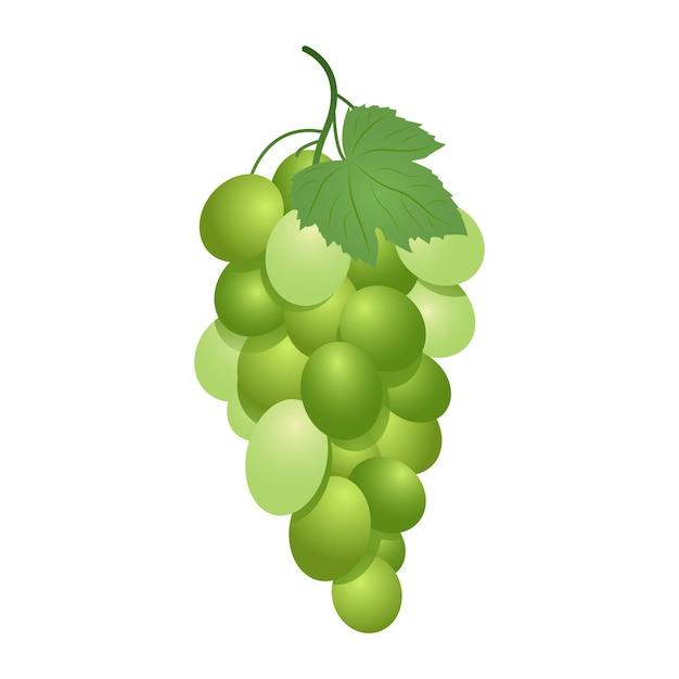 Is Grape good for ulcer patient? 
