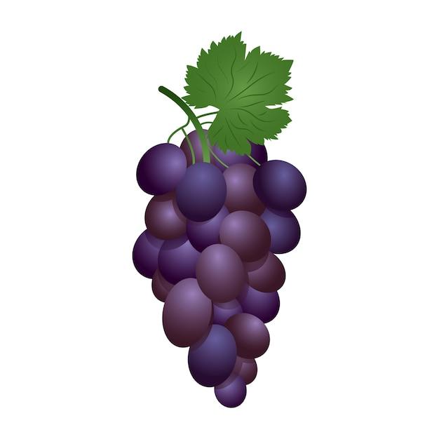 Is Grape good for ulcer patient? 