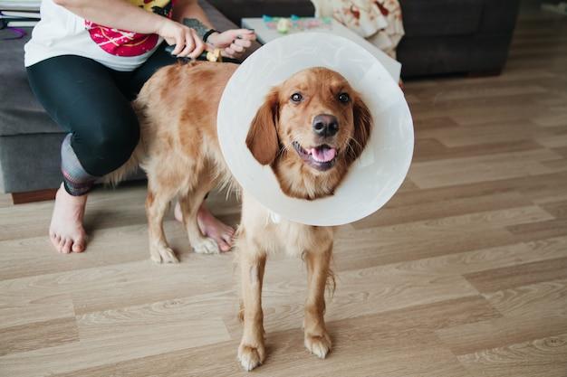 When can I take my dogs cone off after neutering? 