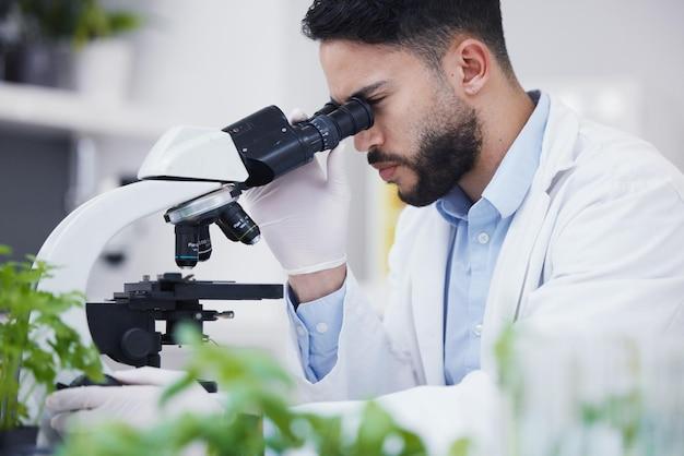 What is the difference between plant science and botany? 