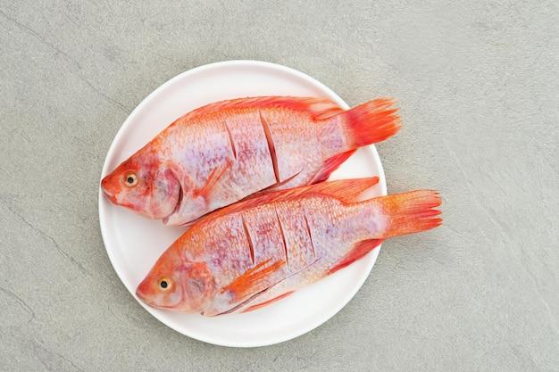 Is red snapper a fresh water fish? 