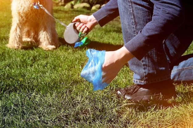 What can you use to dissolve dog poop in the yard? 
