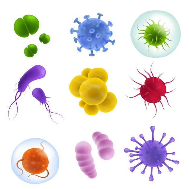 What are the 4 shapes of viruses? 