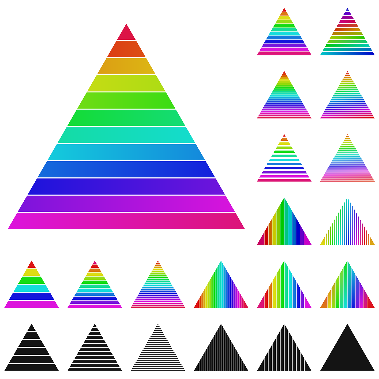 What are the 8 levels of taxonomy in order? 