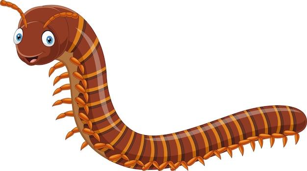 What is the theme of the story of the centipede? 