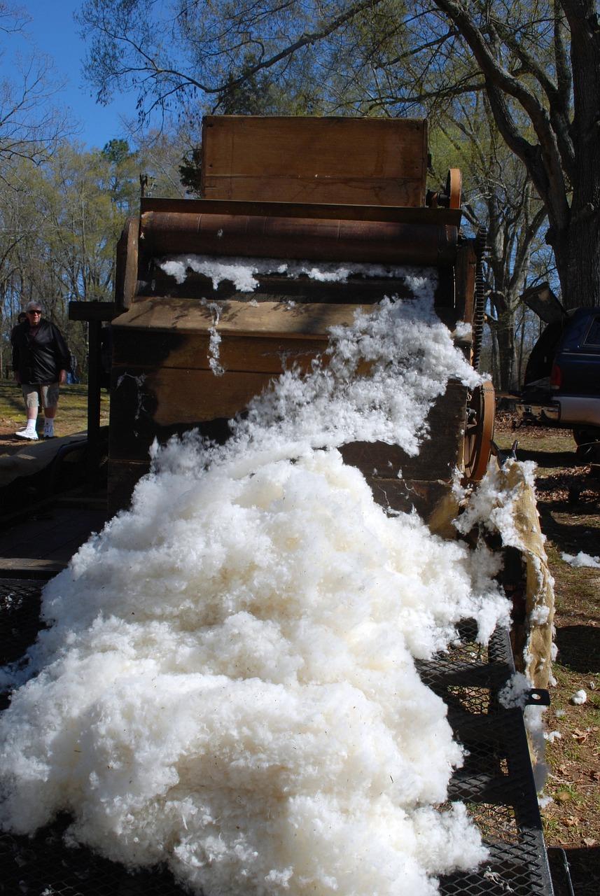 How has the cotton gin changed over time? 