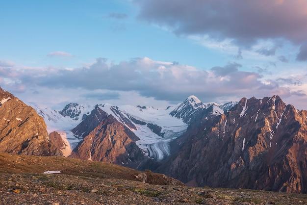 What are some interesting facts about the Alpine biome? 