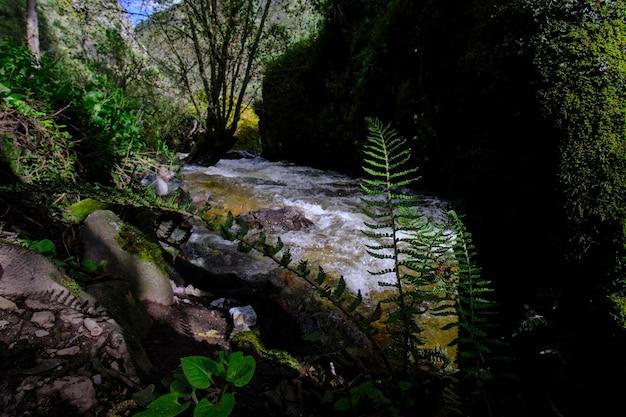 What are the major water forms found in the Philippines? 