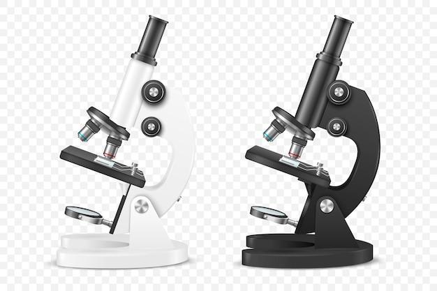 What is the correct path of light in a compound microscope? 
