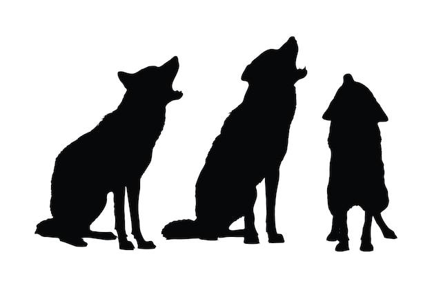 What are the positions in a wolf pack? 