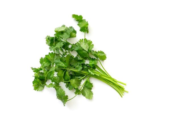 What does 1 bunch of cilantro look like? 