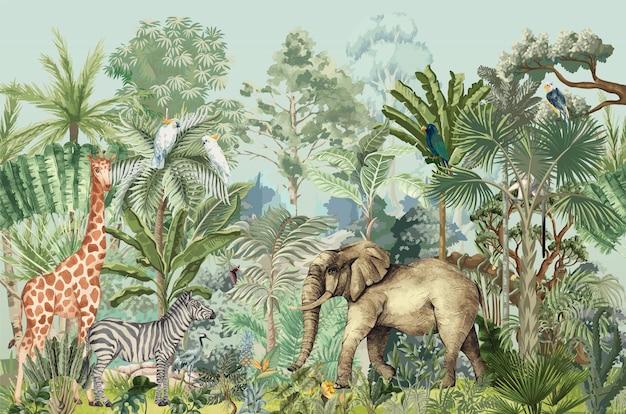 What is a jungle safari? 