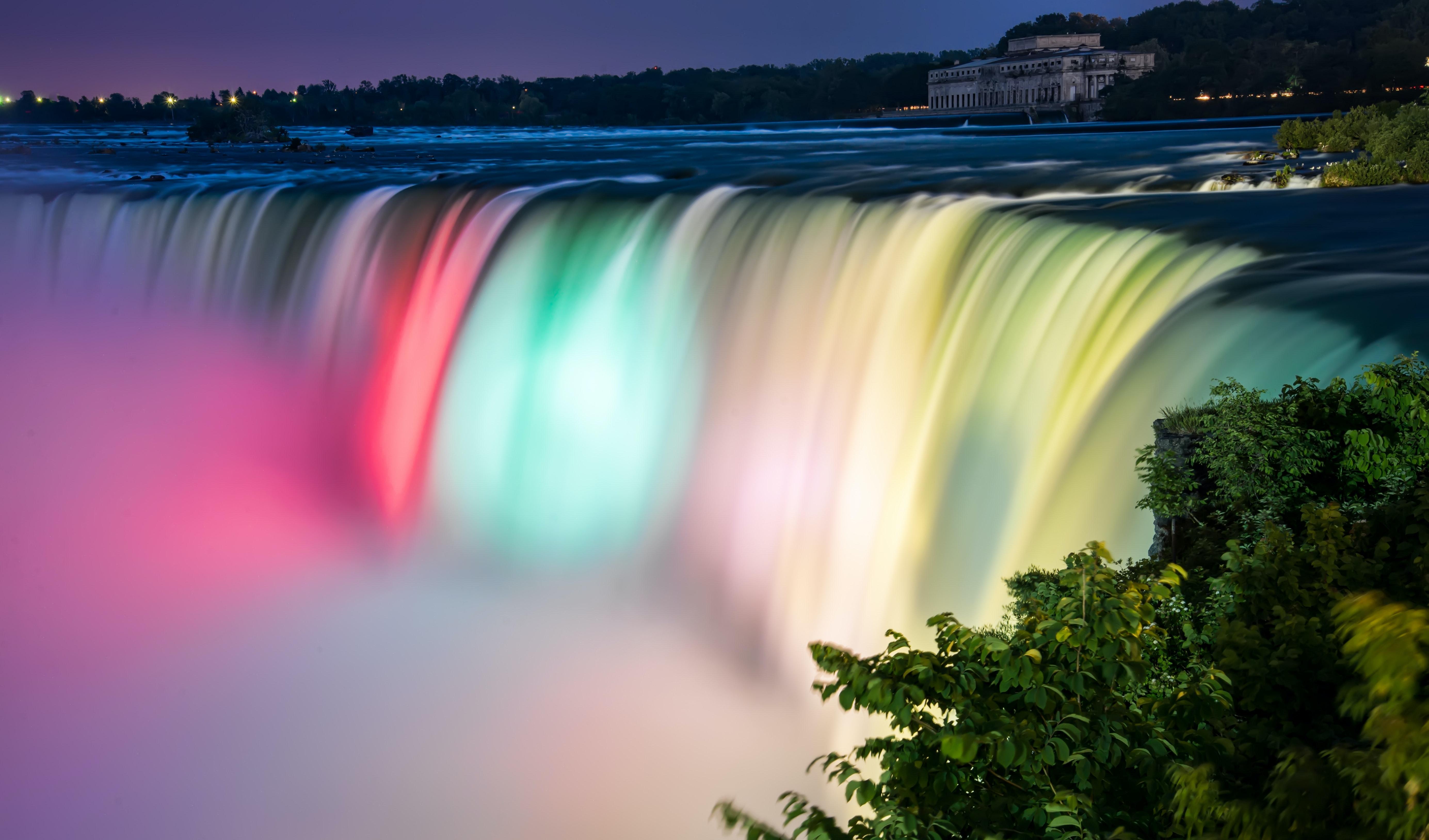 What animals live in Niagara Falls Water? 