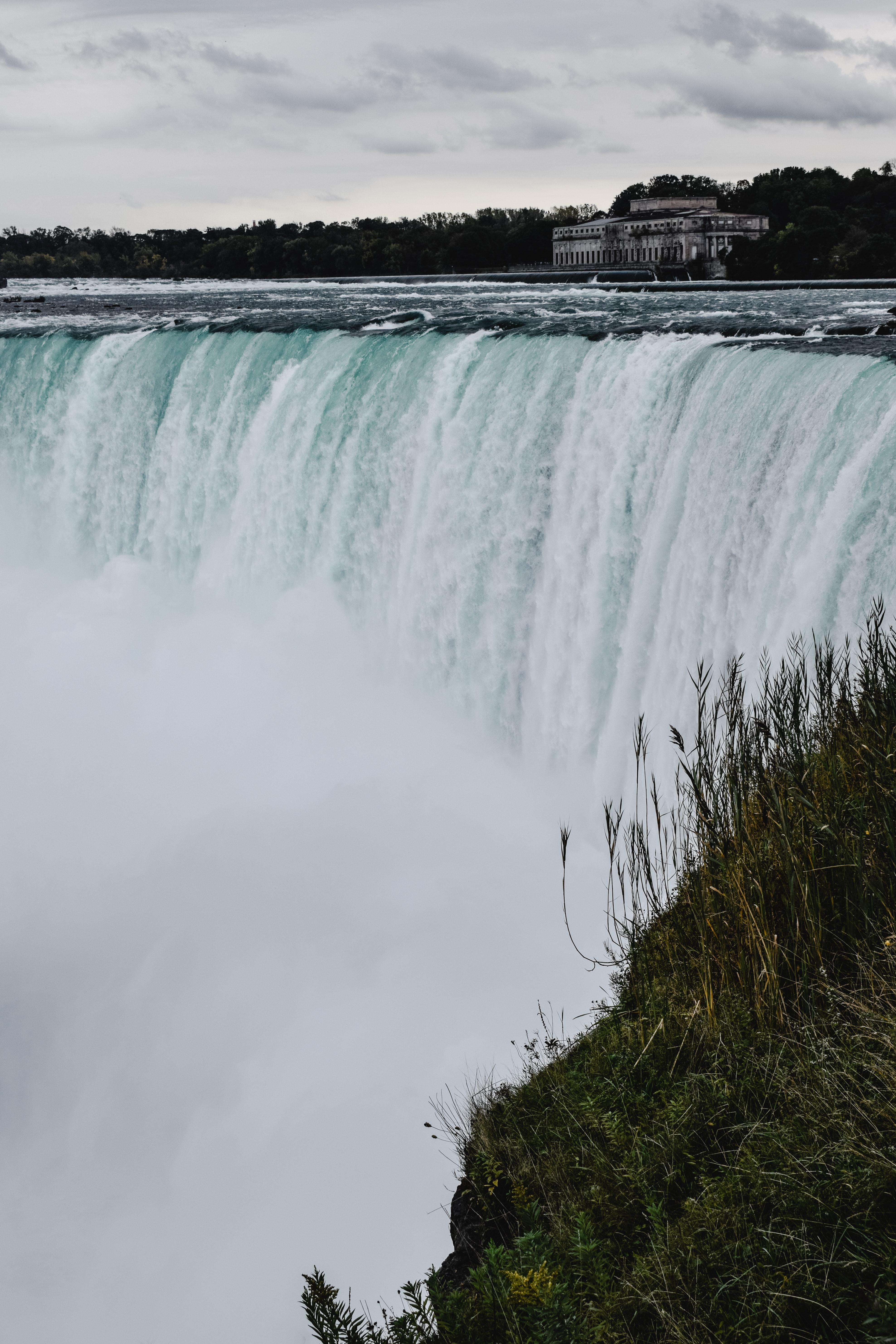What animals live in Niagara Falls Water? 