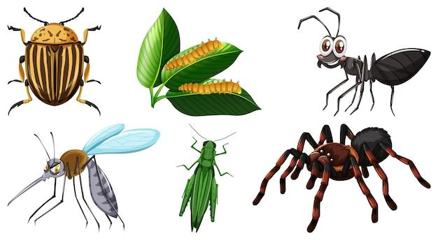 What are 10 characteristics of insects? 