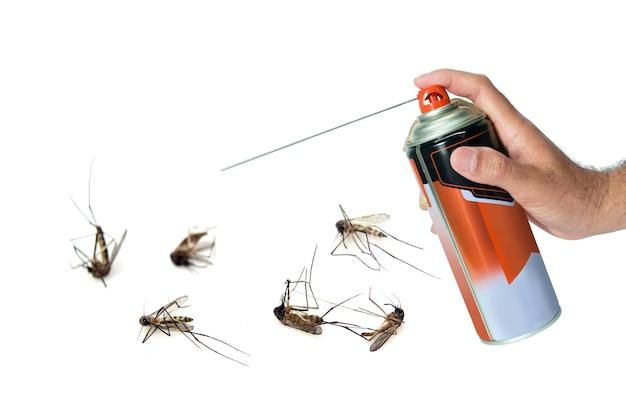 What can I spray on gnats to kill them? 