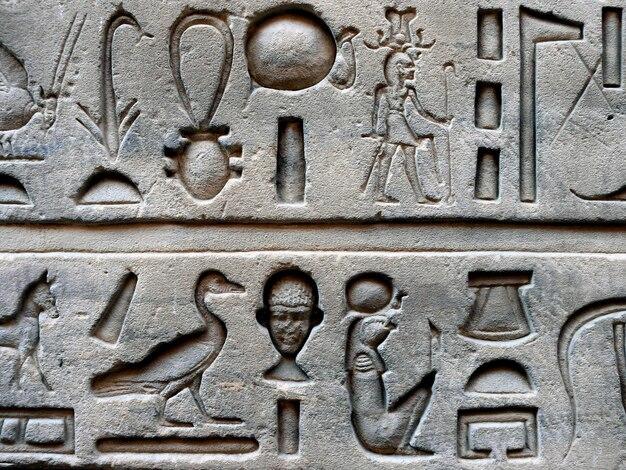 What contributions did ancient Egypt make to science? 