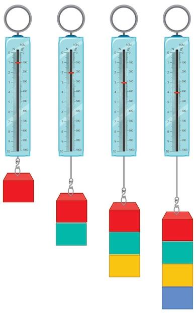 What does a spring scale measure in units? 