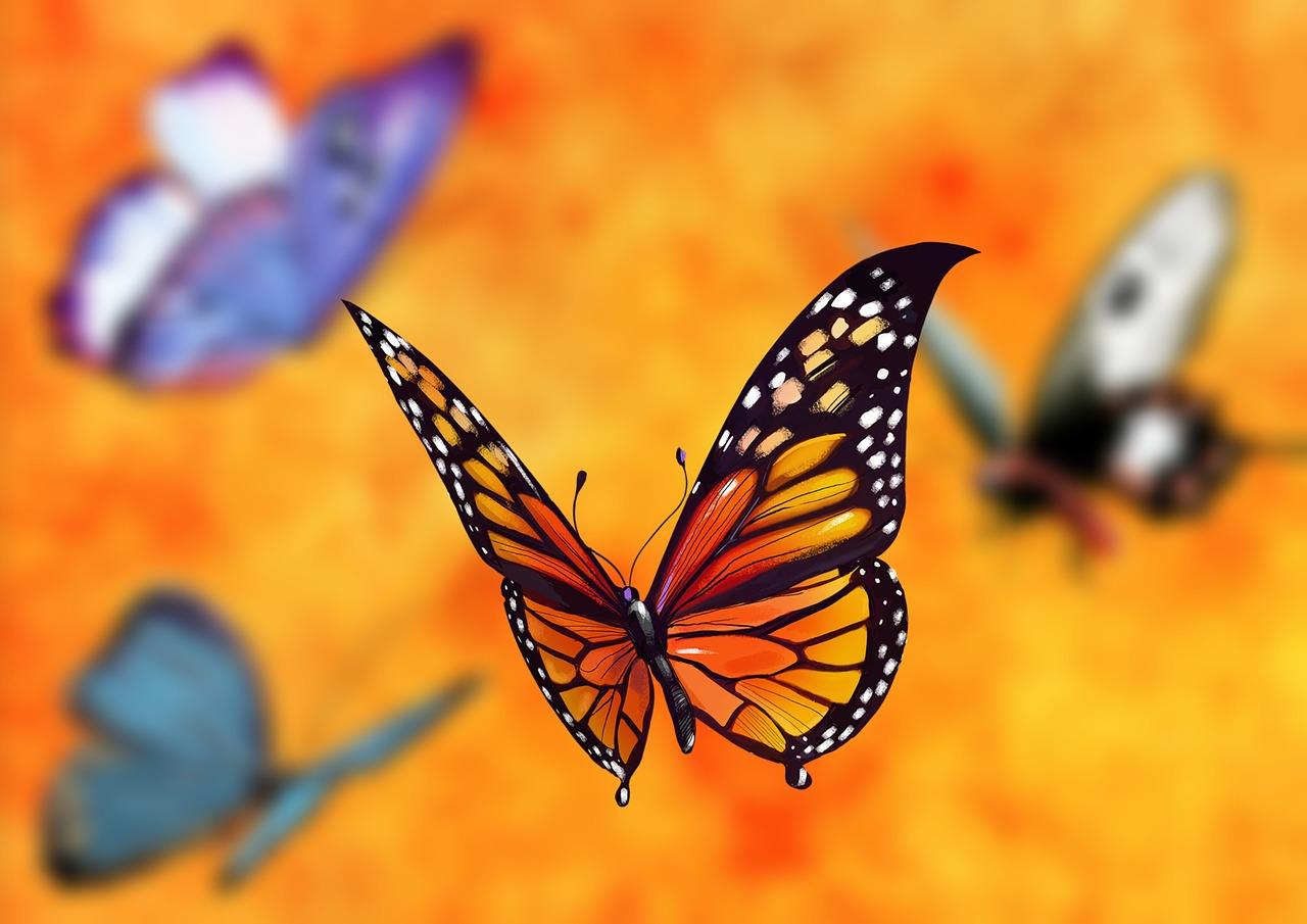 What does a orange butterfly mean spiritually? 