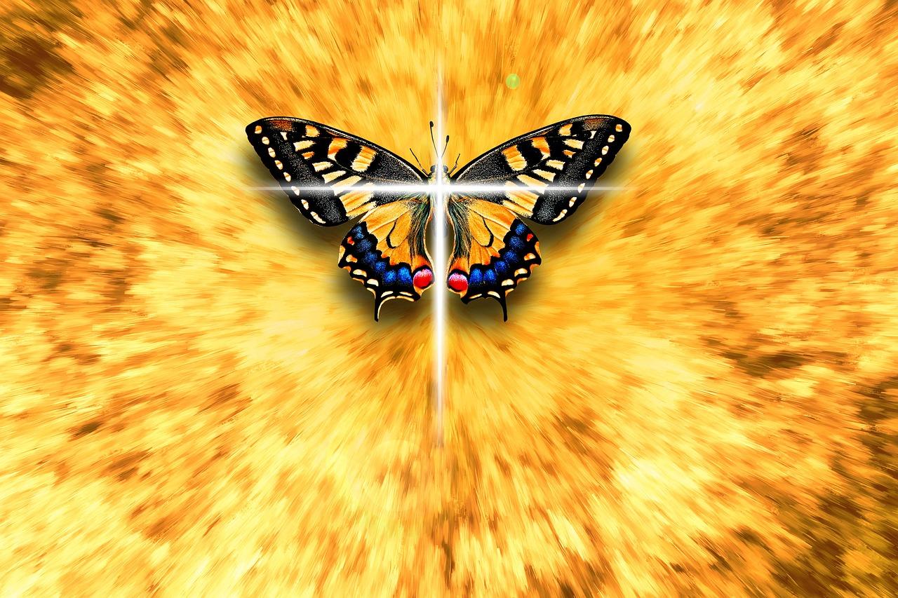 What does a orange butterfly mean spiritually? 